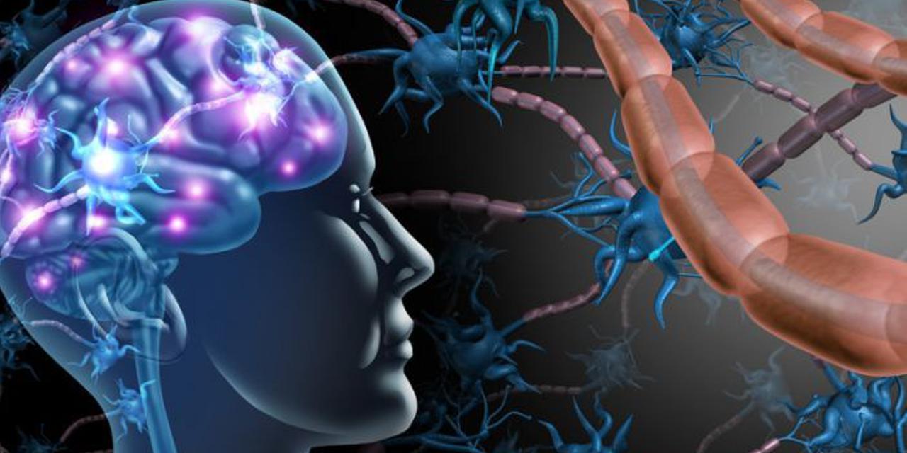 Терапевтические возможности лечения рассеянного склероза даже при неблагоприятном типе течения значительно выросли